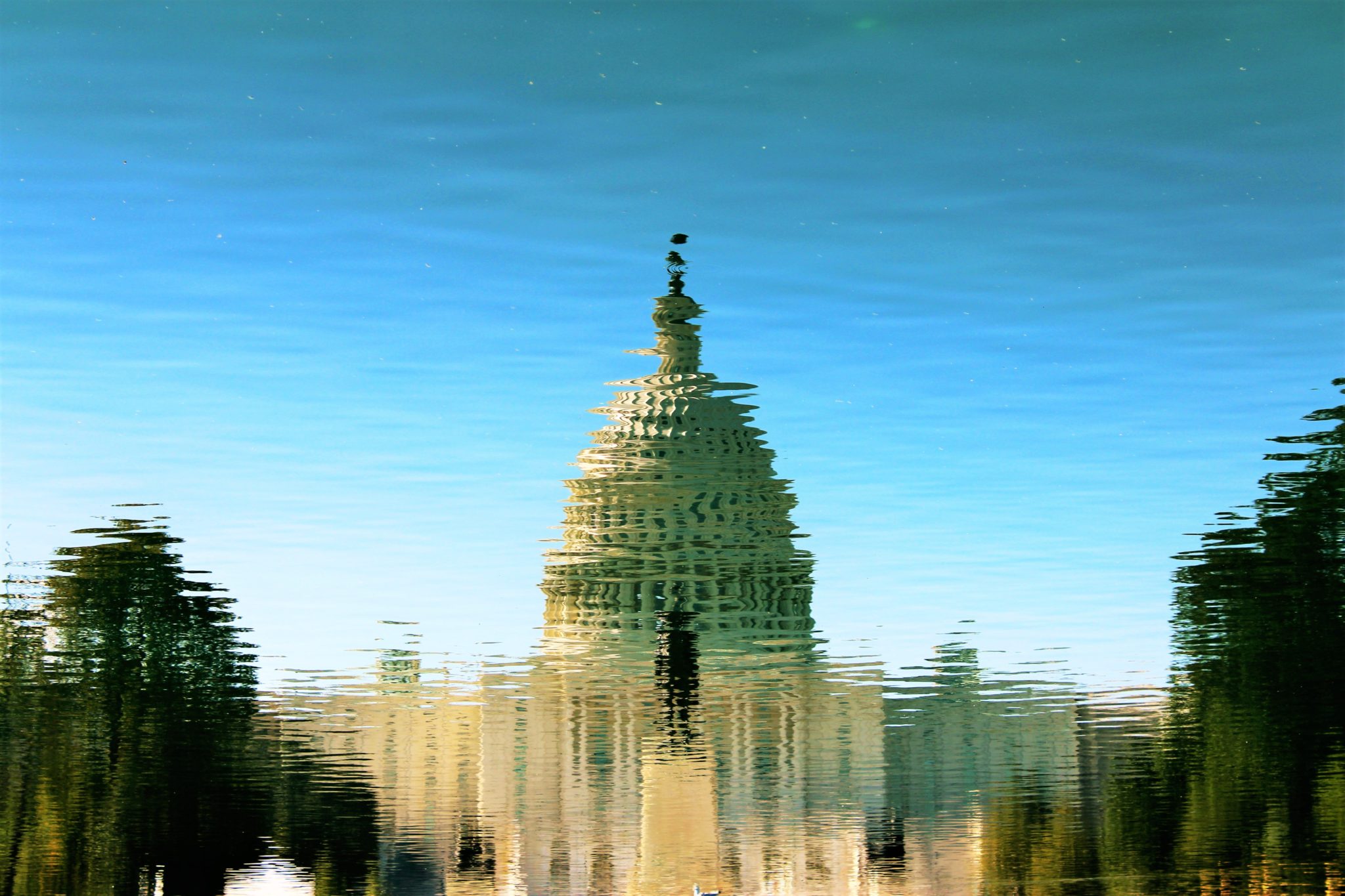 white house reflected in a pool of water