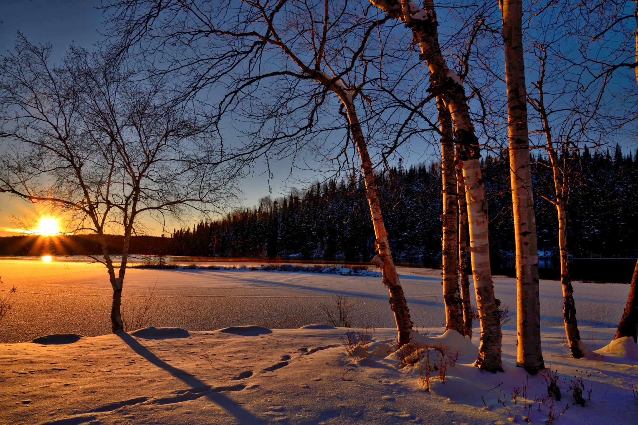 sunset view of a snowy lake surrounded by pine trees