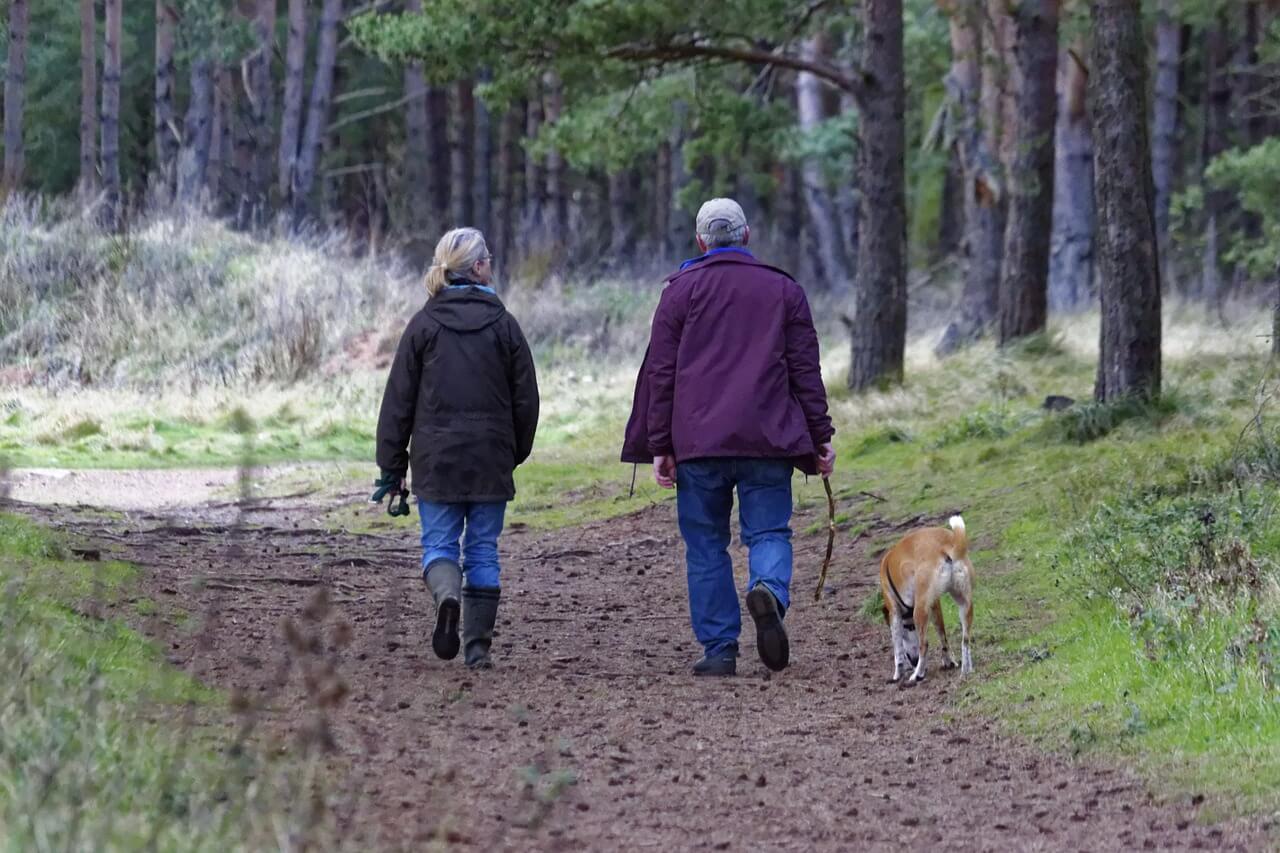 an older couple walking their dog in the woods